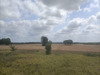 Ma-Cabane - Vente Maison Saint-Léon-d'Issigeac, 62 m²
