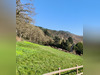 Ma-Cabane - Vente Maison SAINT LEONARD DES BOIS, 80 m²