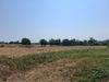 Ma-Cabane - Vente Maison SAINT LEONARD DES BOIS, 83 m²