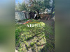 Ma-Cabane - Vente Maison SAINT-LEU-LA-FORET, 109 m²