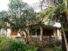 Ma-Cabane - Vente Maison SAINT-LOUIS, 80 m²