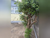 Ma-Cabane - Vente Maison SAINT LOUIS, 60 m²