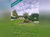 Ma-Cabane - Vente Maison Saint-Lumier-en-Champagne, 148 m²