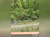 Ma-Cabane - Vente Maison Saint-Martin-de-Brômes, 87 m²