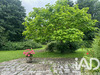 Ma-Cabane - Vente Maison Saint-Martin-du-Manoir, 243 m²