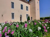 Ma-Cabane - Vente Maison SAINT MARTIN EN BRESSE, 522 m²