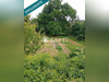 Ma-Cabane - Vente Maison Saint-Martin-la-Plaine, 146 m²