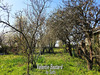 Ma-Cabane - Vente Maison Saint-Martin-le-Beau, 100 m²