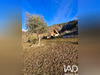 Ma-Cabane - Vente Maison Saint Martin Vesubie, 115 m²