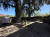 Ma-Cabane - Vente Maison SAINT-MAURICE-DE-BEYNOST, 60 m²