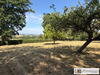 Ma-Cabane - Vente Maison Saint-Maurice-près-Pionsat, 152 m²