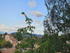 Ma-Cabane - Vente Maison Saint-Maximin-la-Sainte-Baume, 85 m²