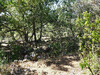 Ma-Cabane - Vente Maison Saint-Maximin-la-Sainte-Baume, 100 m²
