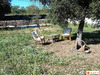 Ma-Cabane - Vente Maison Saint-Maximin-la-Sainte-Baume, 55 m²