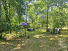 Ma-Cabane - Vente Maison SAINT-MICHEL-ESCALUS, 170 m²