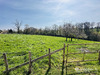 Ma-Cabane - Vente Maison Saint-Nizier-sous-Charlieu, 152 m²