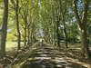 Ma-Cabane - Vente Maison Saint-Paul-Lizonne, 175 m²