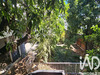 Ma-Cabane - Vente Maison Saint-Pierre, 80 m²