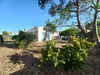 Ma-Cabane - Vente Maison SAINT-PIERRE-D'OLERON, 75 m²