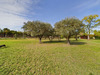 Ma-Cabane - Vente Maison SAINT-PIERRE-DE-MEZOARGUES, 300 m²