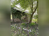 Ma-Cabane - Vente Maison SAINT PIERRE DE PLESGUEN, 141 m²