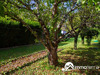 Ma-Cabane - Vente Maison Saint-Pierre-lès-Nemours, 125 m²