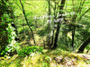 Ma-Cabane - Vente Maison Saint-Plantaire, 135 m²