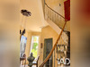 Ma-Cabane - Vente Maison Saint-Quentin, 270 m²