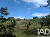 Ma-Cabane - Vente Maison Saint-Rémy-de-Provence, 260 m²