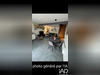 Ma-Cabane - Vente Maison Saint-Rémy-du-Plain, 49 m²