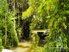 Ma-Cabane - Vente Maison Saint-Sigismond, 147 m²