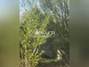 Ma-Cabane - Vente Maison Saint-Tugdual, 80 m²
