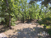 Ma-Cabane - Vente Maison Saint-Vallier-de-Thiey, 182 m²