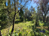 Ma-Cabane - Vente Maison Saint-Vincent-de-Barbeyrargues, 100 m²
