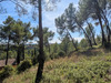 Ma-Cabane - Vente Maison SAINT VINCENT DE BARBEYRARGUES, 185 m²