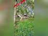 Ma-Cabane - Vente Maison SAINT VINCENT DES LANDES, 70 m²