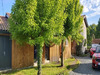 Ma-Cabane - Vente Maison Saint-Vivien-de-Médoc, 230 m²