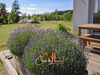 Ma-Cabane - Vente Maison Saint-Vougay, 165 m²