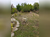 Ma-Cabane - Vente Maison Saint-Yrieix-la-Perche, 132 m²