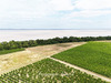 Ma-Cabane - Vente Maison SAINT YZANS DE MEDOC, 1357 m²