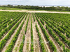 Ma-Cabane - Vente Maison SAINT YZANS DE MEDOC, 1357 m²