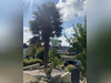 Ma-Cabane - Vente Maison Sainte-Adresse, 105 m²