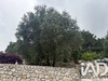 Ma-Cabane - Vente Maison Sainte-Agnès, 60 m²