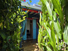 Ma-Cabane - Vente Maison Sainte-Anne, 41 m²