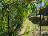 Ma-Cabane - Vente Maison SAINTE-CECILE-D'ANDORGE, 187 m²