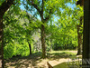 Ma-Cabane - Vente Maison SAINTE-CECILE-D'ANDORGE, 187 m²