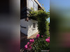 Ma-Cabane - Vente Maison Sainte-Croix-aux-Mines, 65 m²