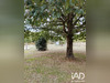 Ma-Cabane - Vente Maison Sainte-Flaive-des-Loups, 80 m²