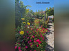 Ma-Cabane - Vente Maison SAINTE LIVRADE SUR LOT, 80 m²