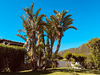 Ma-Cabane - Vente Maison SAINTE LUCIE DE PORTO VECCHIO, 270 m²